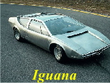 68id_ar_33_iguana_1